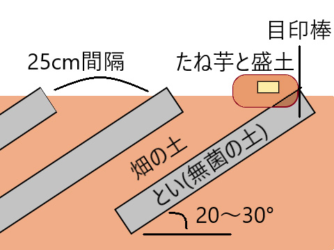 畝の形成